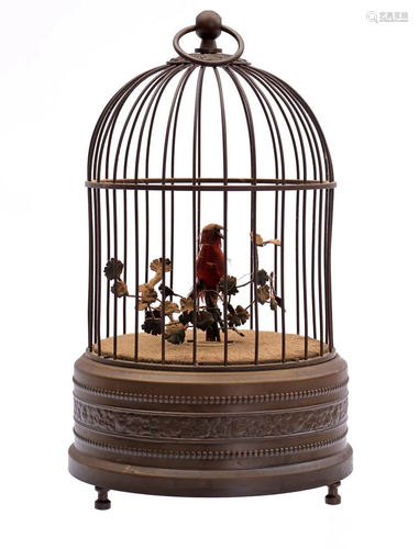 Bird cage