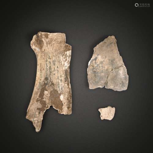 A group of three oracle bones with inscriptions, Late Shang ...