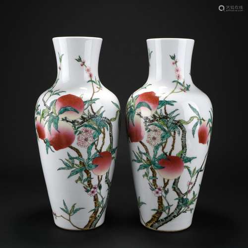 Chinese A Pair Of Famille Rose Porcelain Bottles