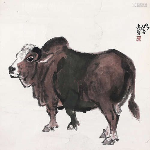 张 广（b.1941） 老黄牛 镜 片 设色纸本