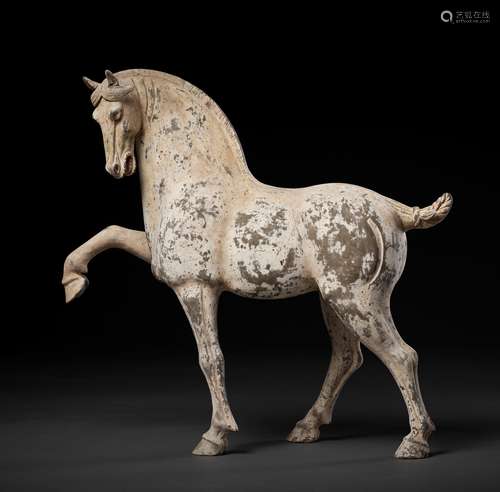 A PAINTED POTTERY FIGURE OF A PRANCING HORSE TANG