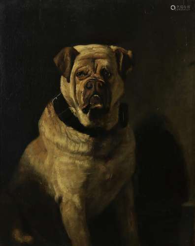 Gempt, Bernhard te. een Mastiff