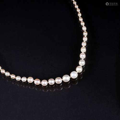 A Natural Pearl Necklace.