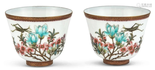 Two Chinese Enameled Porcelain Cups