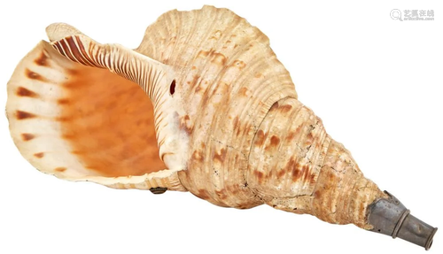 A Japanese Conch Shell Horn, Horugai