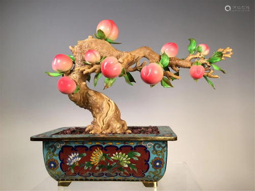 A PEACH TREE BONSAI WITH CLOISONNE BASIN