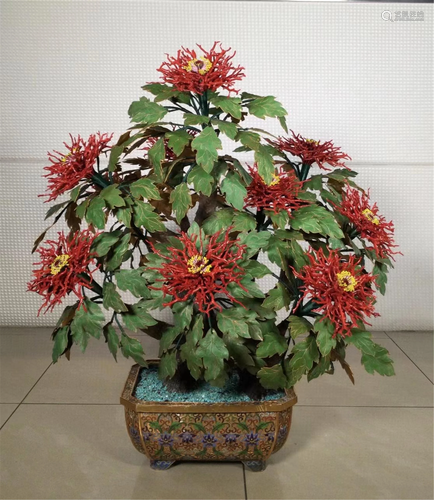 A CORAL FLORAL BONSAI WITH CLOISONNE BASIN