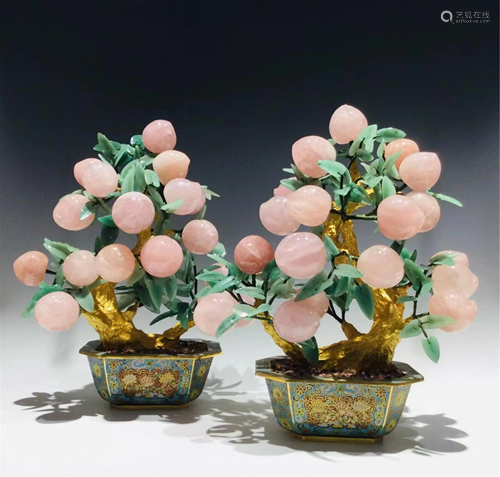 PAIR OF PEACH TREE BONSAI WITH CLOISONNE BASINS