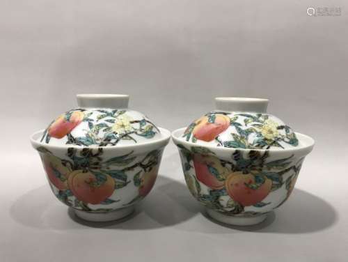 Chinese A Pair Of Qing Dynasty Yongzheng Famille Rose Porcel...