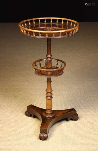 A Fine William IV / Victorian Rosewood Two-tiered Gallery-to...