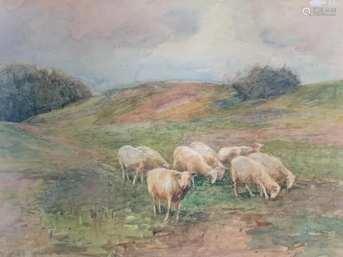 Charles E. Moss Watercolor Of Sheep