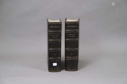 DICTIONNAIRE FRANÇAIS 1884 2 volumes reliés.