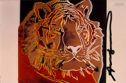 ANDY WARHOL - Siberian Tiger - Original color analogue