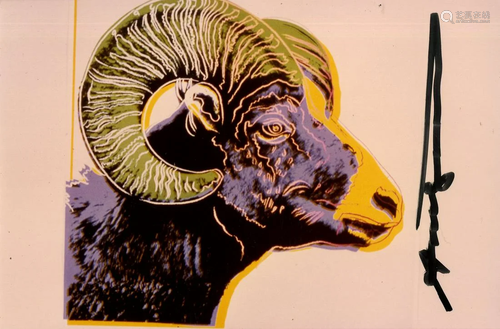 ANDY WARHOL - Bighorn Ram - Original color analogue