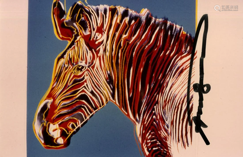 ANDY WARHOL - Grevy's Zebra - Original color analogue