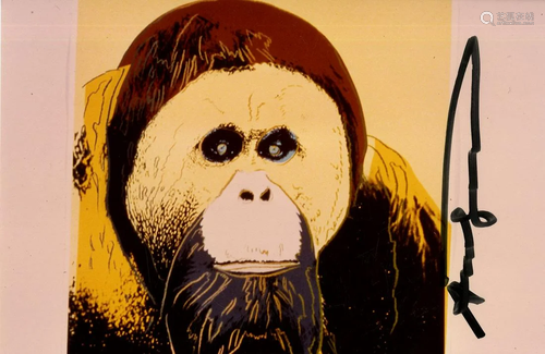 ANDY WARHOL - Orangutan - Original color analogue