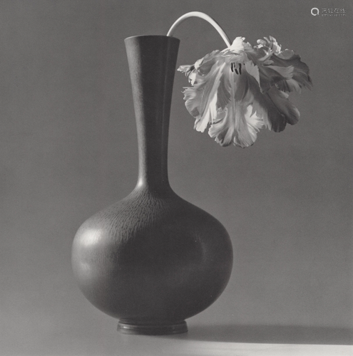 ROBERT MAPPLETHORPE - Parrot Tulip in a Black Vase -