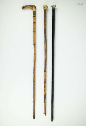A collection of 3 walking canes