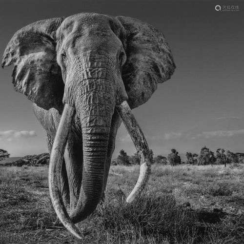 David YARROW (Né en 1966) Space for Giant Tirage pigmentaire...