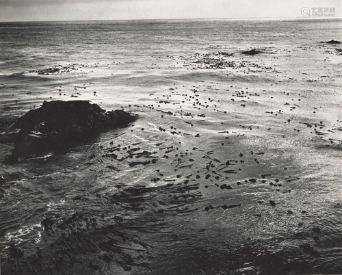 EDWARD WESTON - Sea and Kelp - Original photogravure