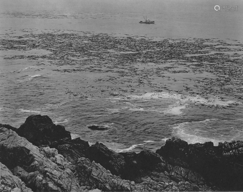 EDWARD WESTON - Rocks, Surf, and Kelp, Point Lobos -