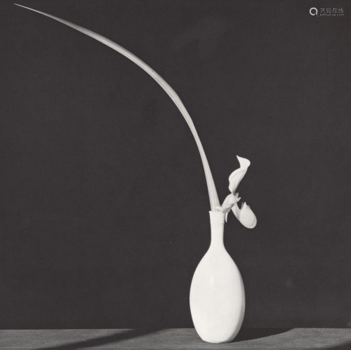 ROBERT MAPPLETHORPE - Orchid and Leaf in White Vase -