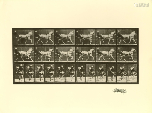 EADWEARD MUYBRIDGE - Trotting Horse with Sulky -