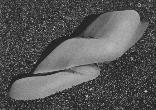 EDWARD WESTON - Eroded Rock, Point Lobos - Original