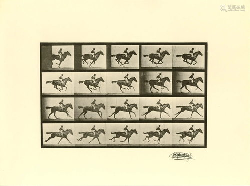 EADWEARD MUYBRIDGE [d'apres] - Jockey on Galloping