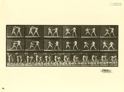 EADWEARD MUYBRIDGE - Men Boxing - Original photogravure