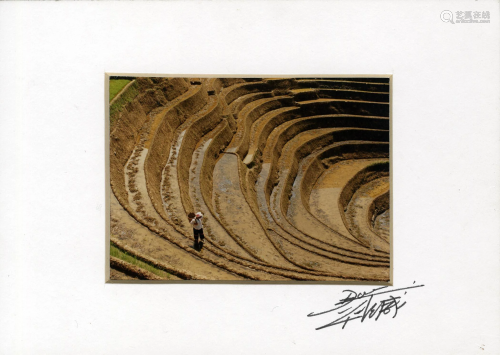 DON HONG-OAI - Inspecting the Mine - Color analogue