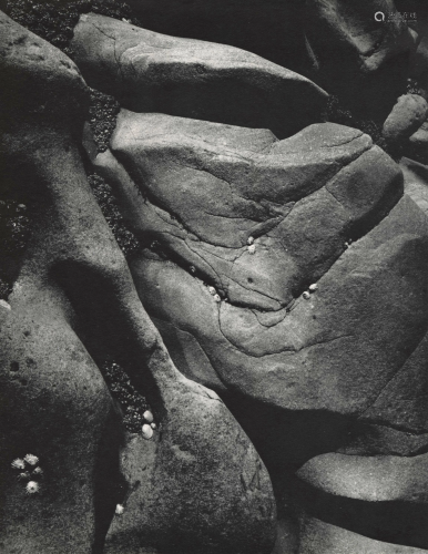 ANSEL ADAMS - Rocks and Limpets, Point Lobos,