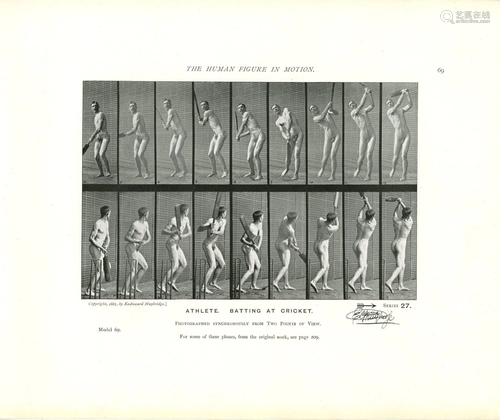 EADWEARD MUYBRIDGE - Athlete