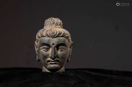 A GANDHARA GRAY SCHIST BUDDHA HEAD