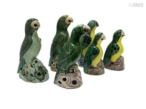 Assortment of Chinese Kangxi Parrots