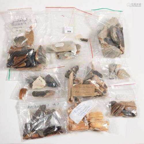 Lot comprenant grattoirs, burins, lames, fragments de feuill...