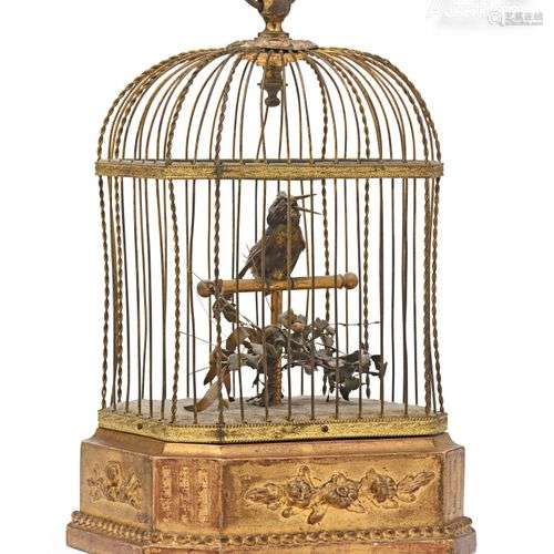 Cage automate à oiseau chanteur.