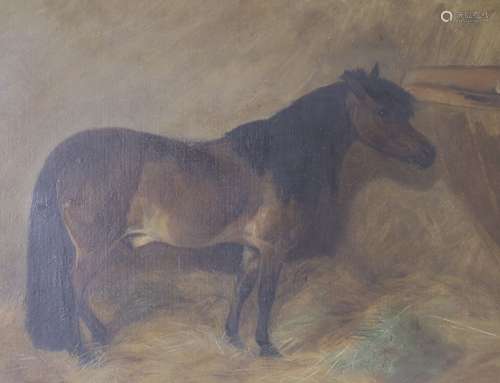 Victorian School, oil on board, Shetland pony in a stable in...