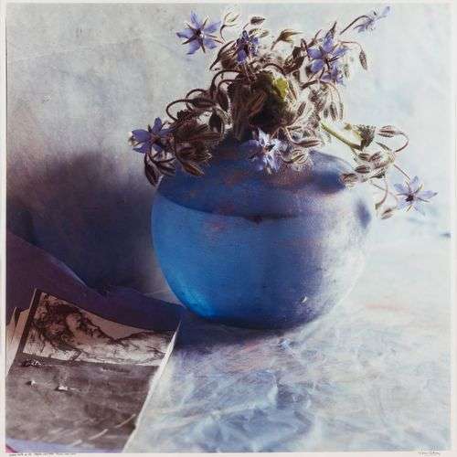 Toni CATANY (1942-2014) Nature morte. Photographie couleur, ...