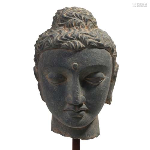 A GANDHARA GRAY SCHIST  BUDDHA HEAD