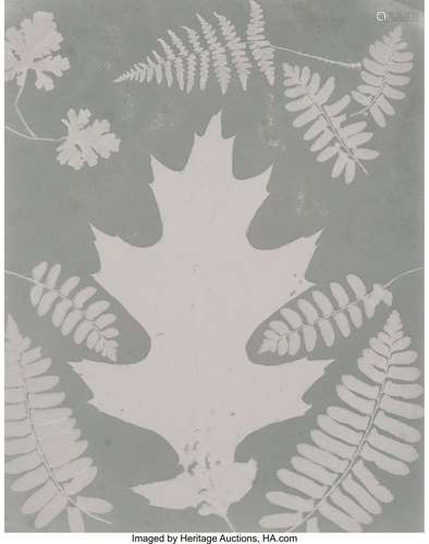 Amelia Bergner (American, 1853-1923) Photogram o