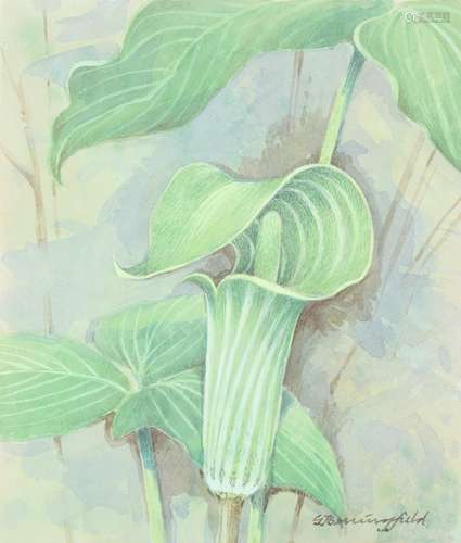 Gordon Beningfield (1936-1998) Jack-in-the-Pulpit