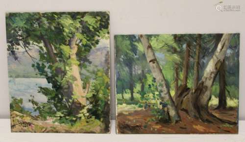 2 W.A. Drake Oils on Canvas Board Landscapes.