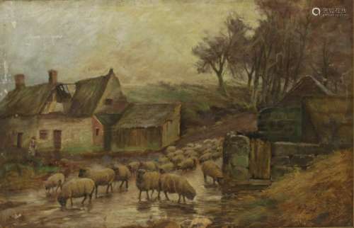 H. Peach? Signed Oil On Board Sheep.
