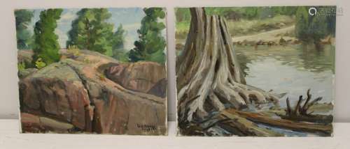2 W.A. Drake Oils on Canvas Board Landscapes.