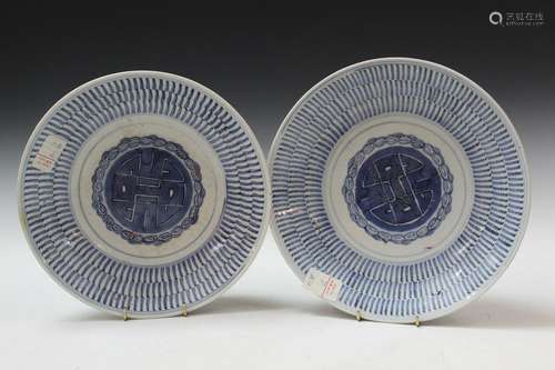 Pair of Chinese Blue and White Porcelain Plates