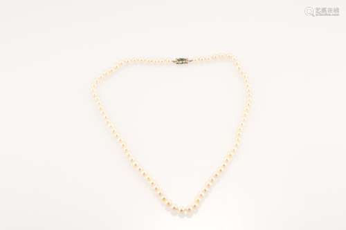 Collier de 79 perles de culture en chocker, fermoir en or gr...