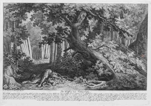 Johann Elias Ridinger (1698 - 1767), Der Wolf in dem Schlag-...