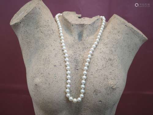 Collier de perles de culture choker, fermoir à cliquet, 67 p...
