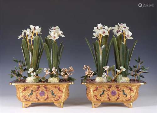 PAIR OF NARCISSUS BONSAI WITH CLOISONNE BASINS